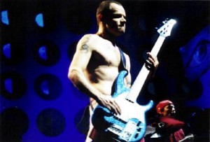 flea playing with his blue modulus which has the blood sucking flea sticker